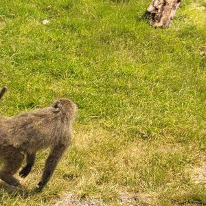 Meet your Posher, Ana